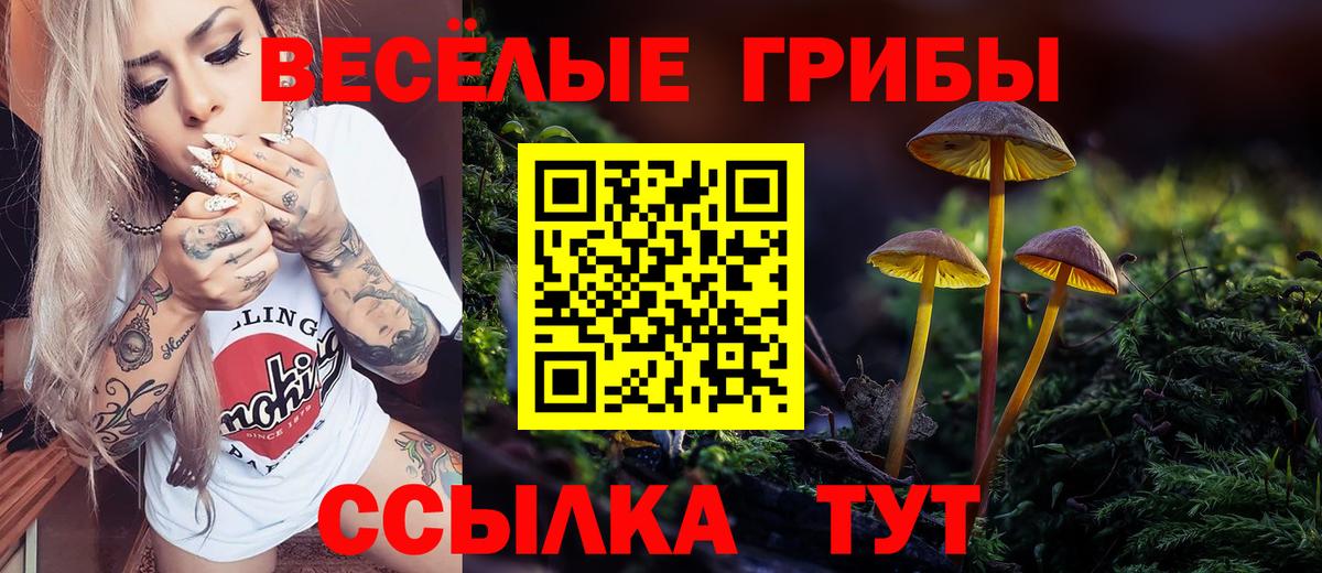 Псилоцибиновые грибы Psilocybine cubensis  Вход с VPN  Бердск 