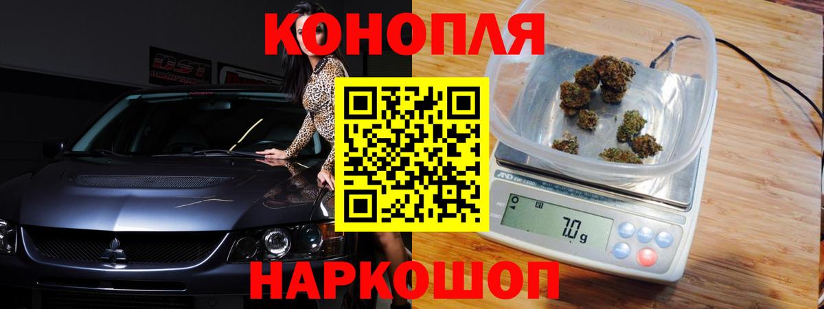 Марихуана план  Вход с VPN  Бердск  Марихуана White Widow  Бошки Шишки планчик 